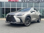 2024 Lexus NX 350h Premium