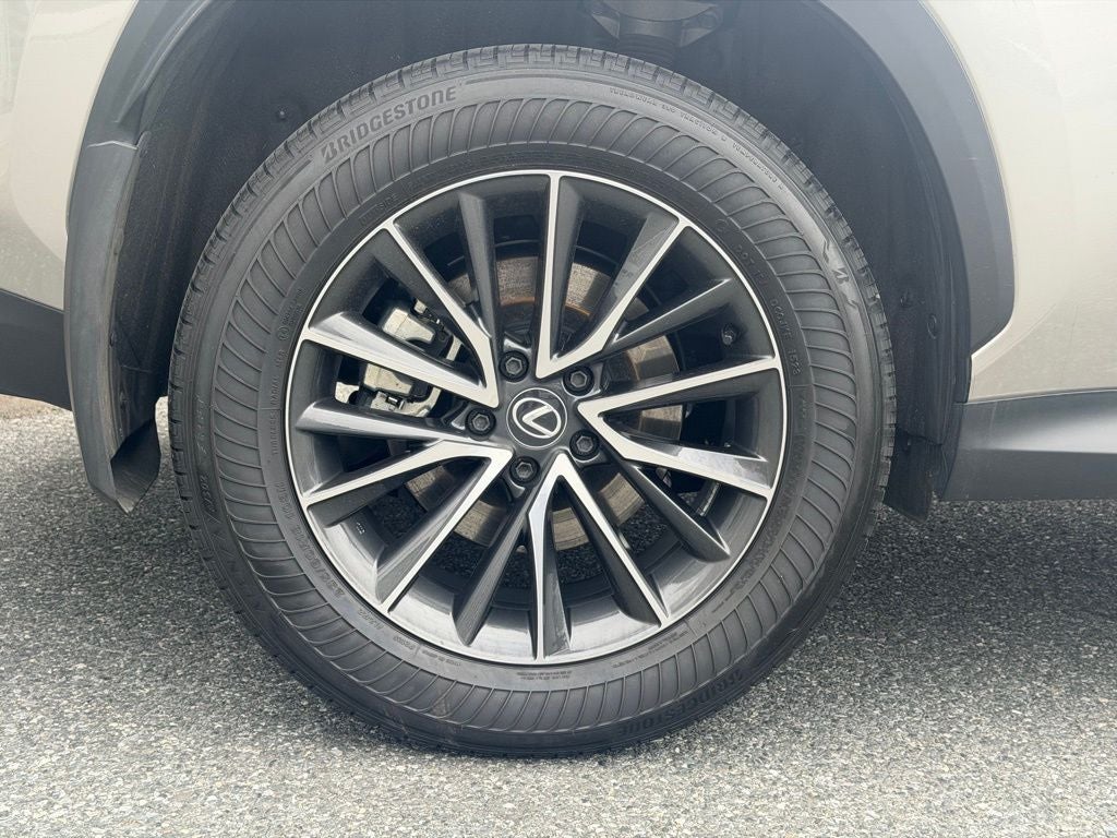 2024 Lexus NX 350h Premium