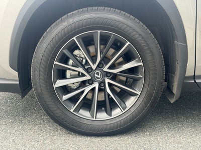 2024 Lexus NX 350h Premium