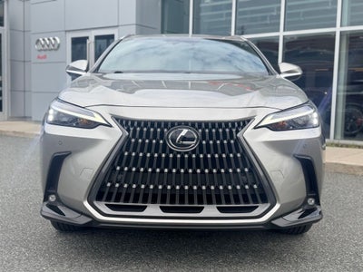 2024 Lexus NX 350h Premium