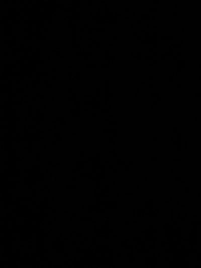 2025 Audi All-new SQ5 3.0T Premium Plus quattro