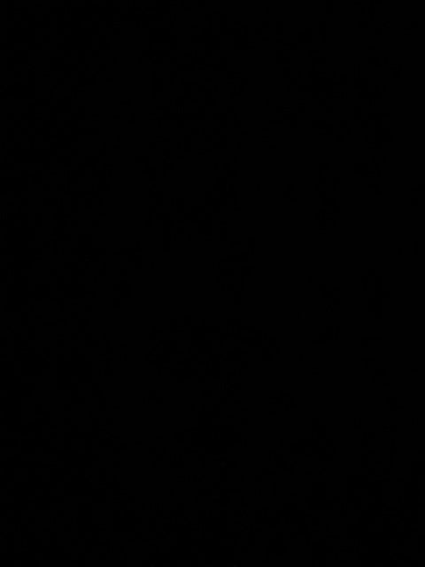 2025 Audi All-new SQ5 3.0T Premium Plus quattro