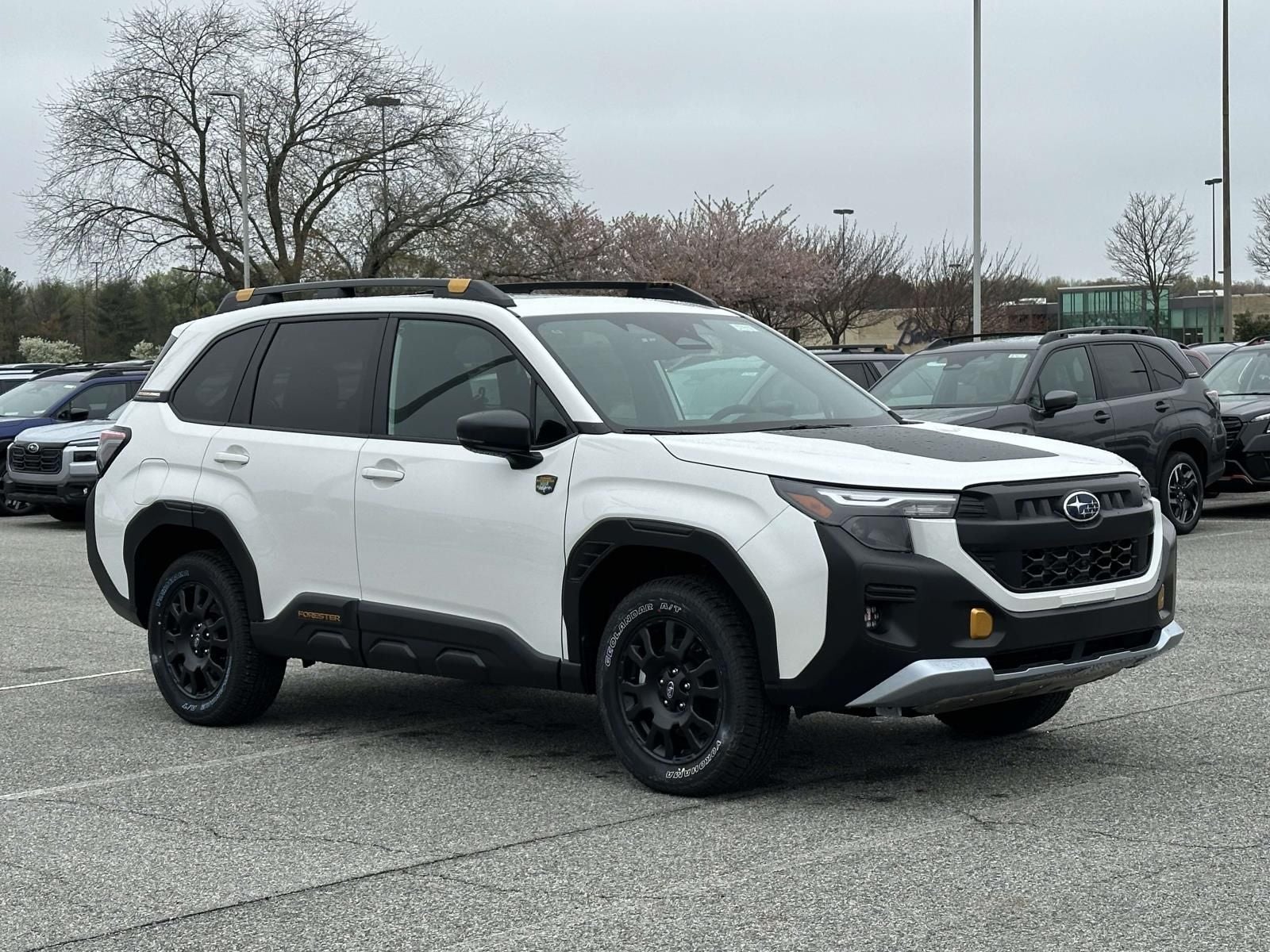 2026 Subaru Forester Wilderness